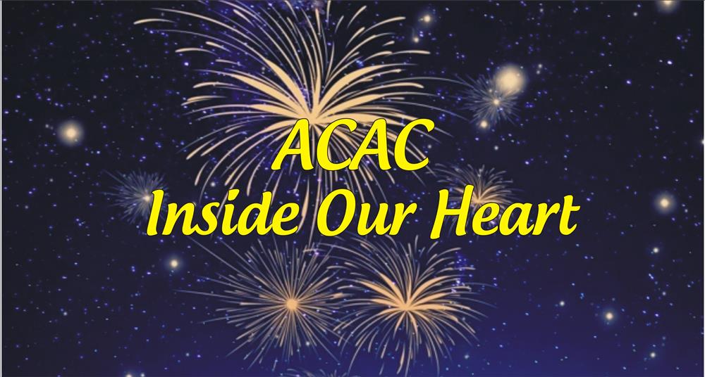 Bản tin đầu tư tài chính và thuế kỳ 15 tháng 11 năm 2022